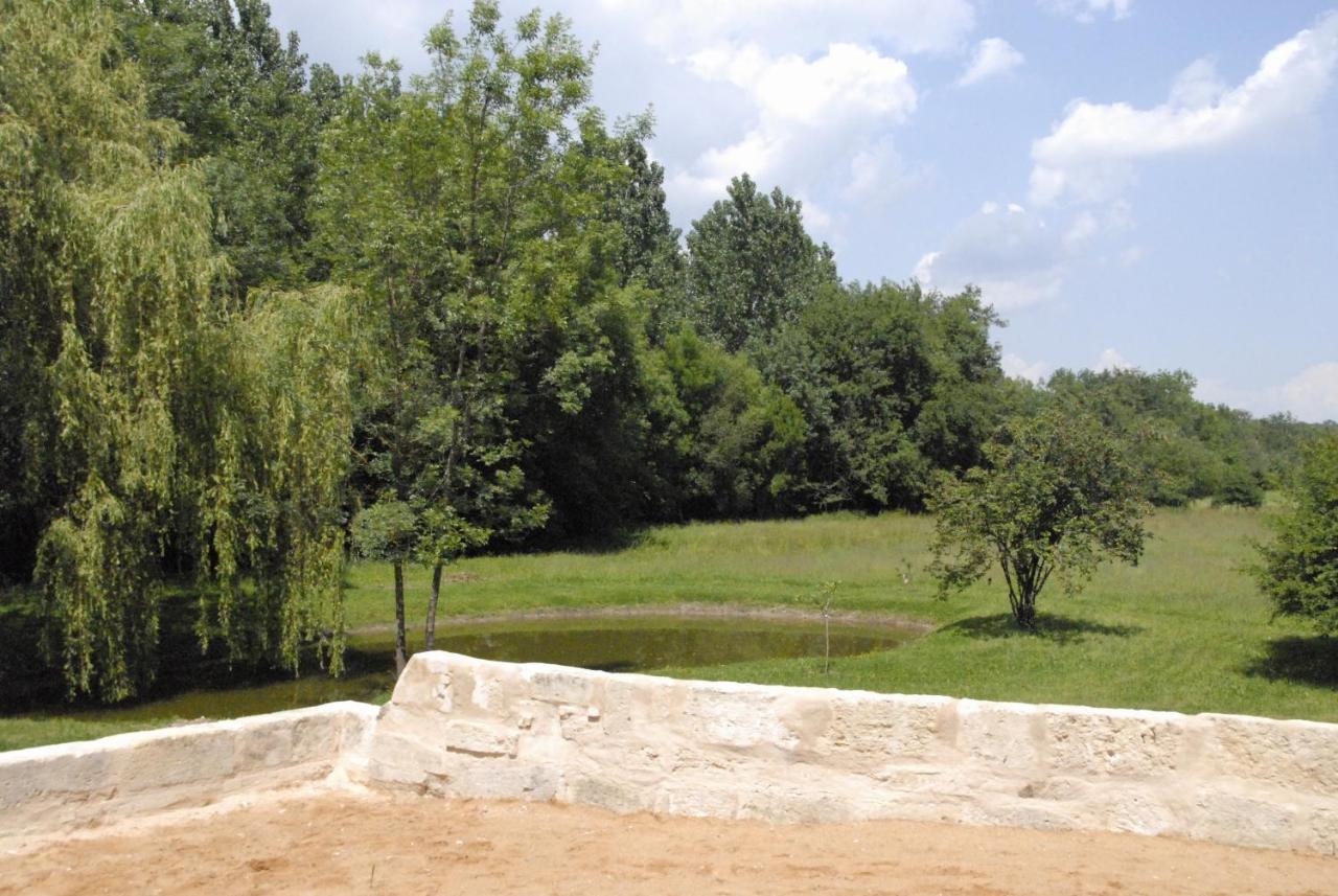 Les Chambres D'Ausilia Sablons  Exterior photo